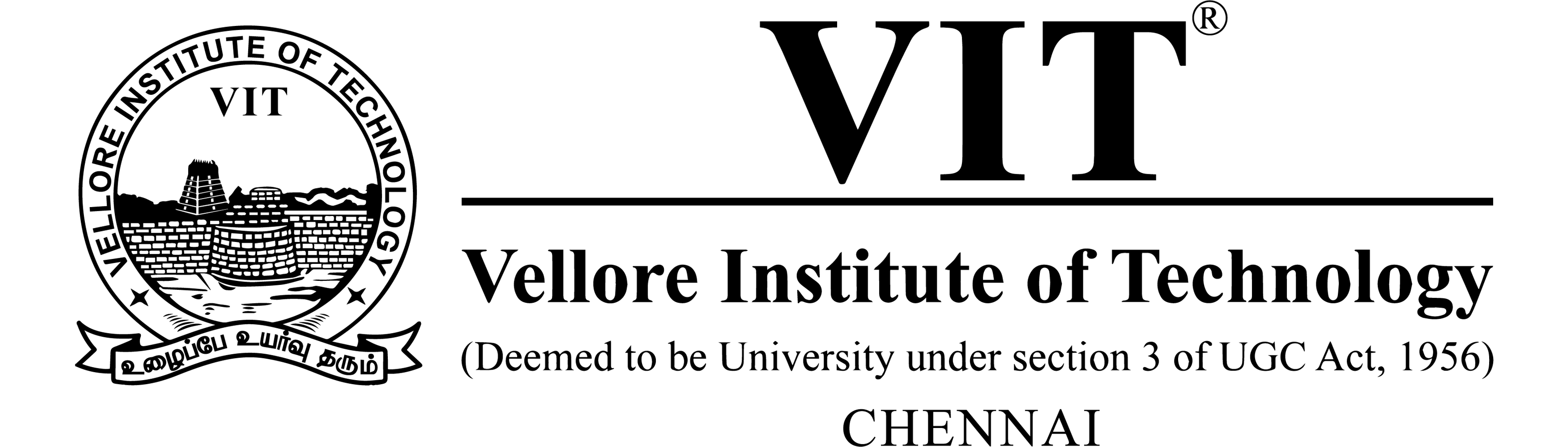 VIT Undergraduate researcher